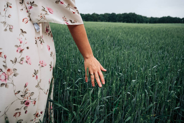 Campo de trigo de mano. Mujer joven en el campo de cereales tocando espiguillas de trigo maduro a mano. Naturaleza, vacaciones de verano, concepto de agricultura - Foto, Imagen