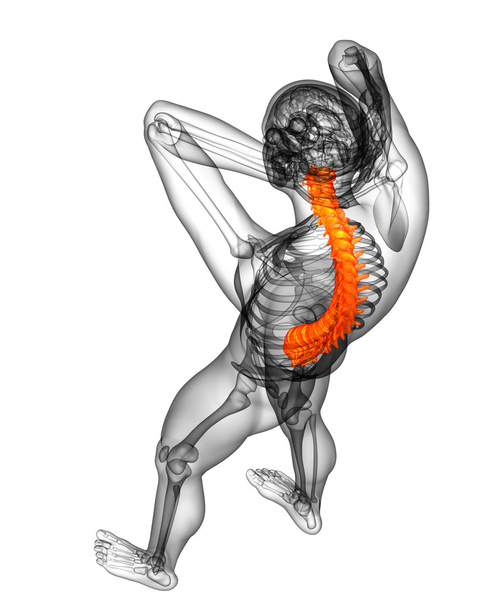 3d rendre illustration médicale de la colonne vertébrale humaine  - Photo, image