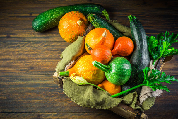Harvesting - Assortment of organic pumpkins, courgettes and zucchinis on green background - Photo, image