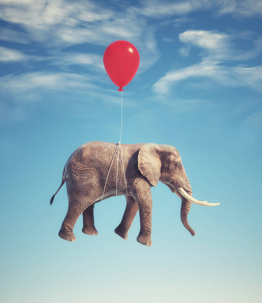 Elephant flying with balloons. Dreaming and aspiration concept. This is 3d render illustration - Zdjęcie, obraz