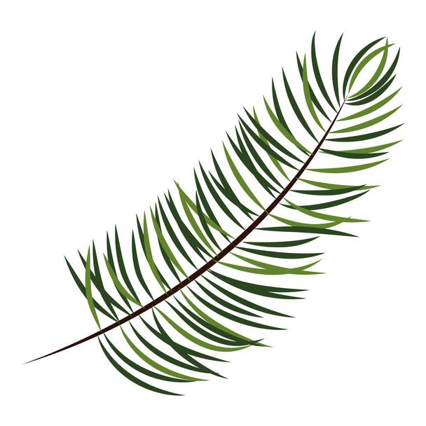 Isolated Fir Leaves Branch Background. - Vector, Image