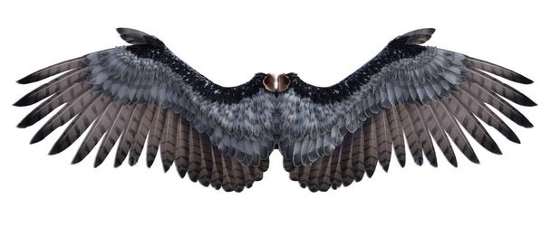 Angel wings 3D render - Foto, imagen