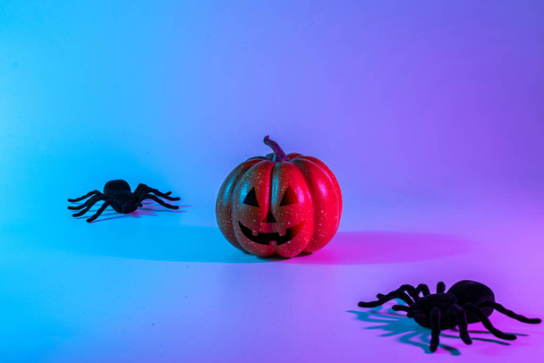 Halloween design. Black night spider, scary spooky pumpkin on night neon helloween background. Happy Halloween concept. Frame. Copy space - Photo, Image
