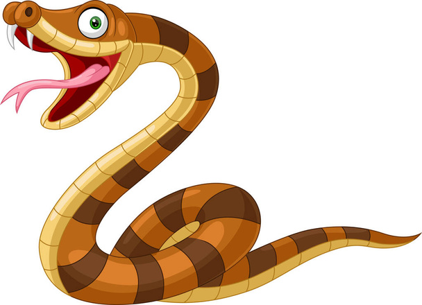 Векторная иллюстрация карикатурной коричневой змеи на белом фоне
 - Вектор,изображение
