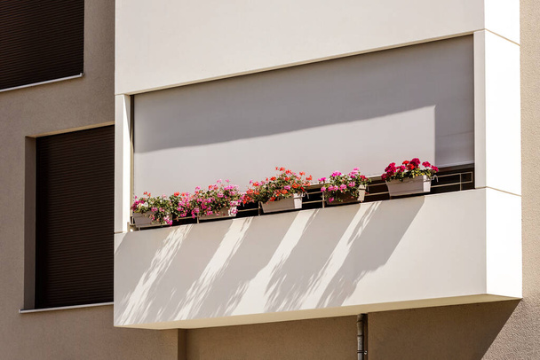 Balcony with Flowers and External Shutters. Modern Decorated Balcony with Blinds on Facade. Balconies Roller Blinds. - Foto, immagini