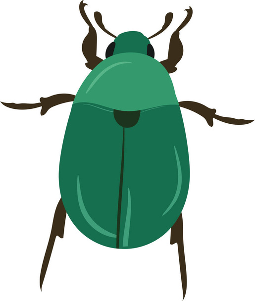 Stag Beetle Vector Illustration from Top Angle - Vector, Image