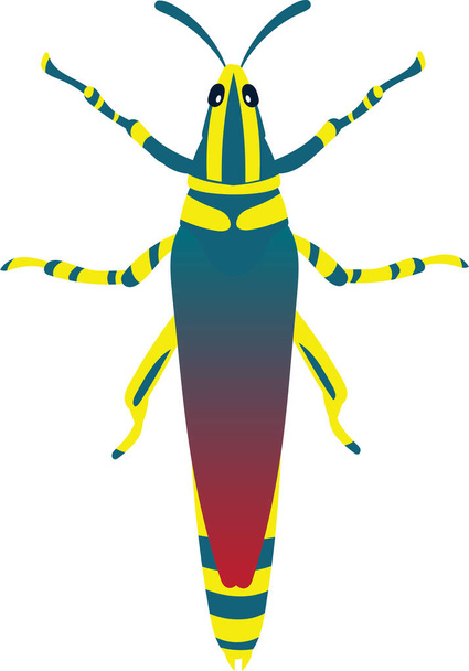 Grasshopper or Locust Vector Illustration Isolated on White Background. - Vector, afbeelding