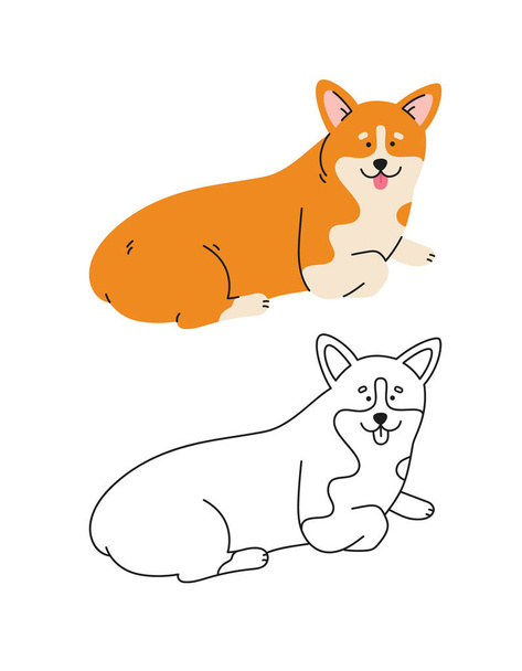 Cute Welsh Corgi Dog vector cartoon illustration. Hand-drawn dog in contemporary flat style, and line art. Cartoon animal, pet. The dog is lying down. - Vector, imagen