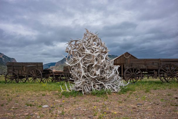 A pile of deer antlers rests in the remnants of an old town from the days of the Wild West under the overcast skies of Cody, Wyoming. - Фото, изображение