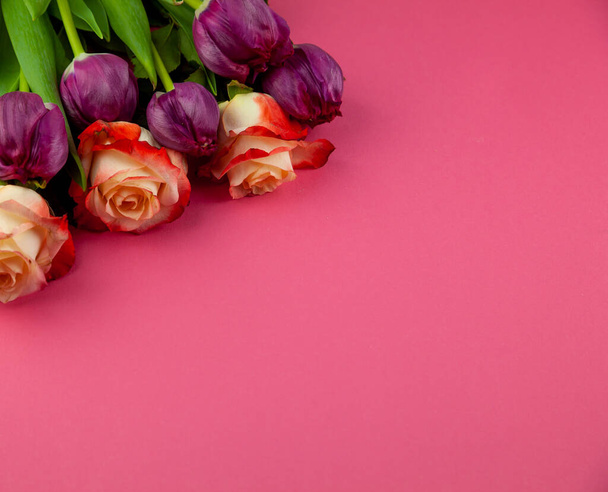 Bouquet of roses and tulips on a plain pink background. Layout for a greeting card. Spring concept. Copy space. Flowers top view. Tulip flower. - 写真・画像