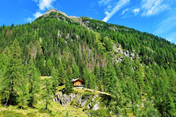 Mountain covered in conifer larch and spruce forest with a wooden lodge at Gradental valley in Schober group sub-range of Hohe Tauern in Central Eastern Alps, Carinthia, Austria - Foto, Imagem