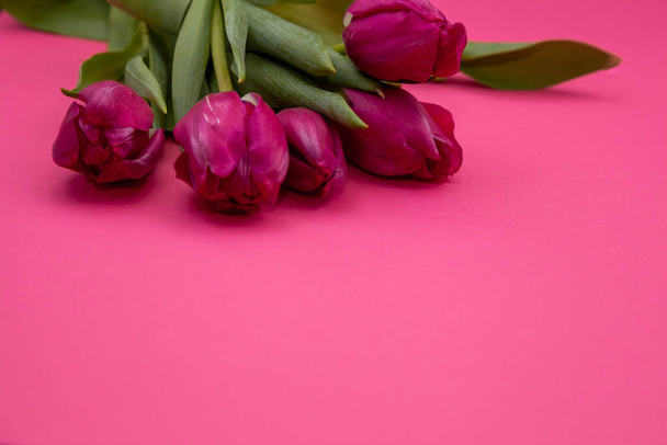 Pink tulips bouquet on background with place for text. Tulip flower. Spring flowers. Copy space. - Photo, Image