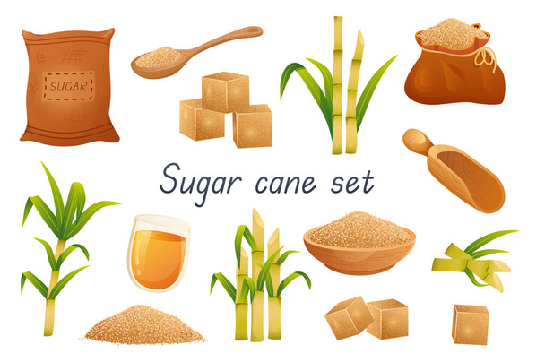 Sugar cane 3d realistic set. Bundle of bags, sugar cubes, granular sweetener on spoon or plate, sugarcane leaf plants, rum alcoholic liquid in glass and other isolated elements.Vector illustration - Vektor, kép