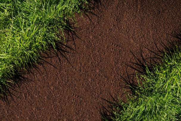 grass and earth, closeup  - Photo, image