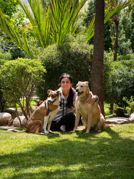 Peruvian Woman Sitting on the Grass, Hugging Two Mongrel Dogs in a Sunny Garden - Foto, afbeelding