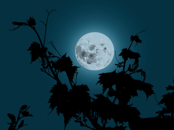 月明かりの下でブドウの植物 - ベクター画像