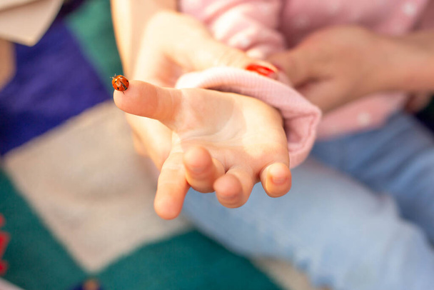 kinderhand met lieveheersbeestje - Foto, afbeelding