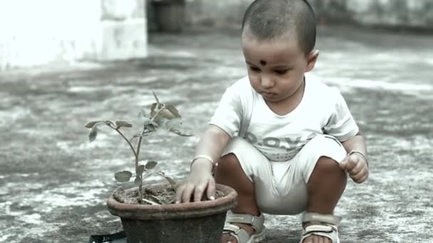 schattig kleine baby jongen met bloem tuinieren op outdoor - Video