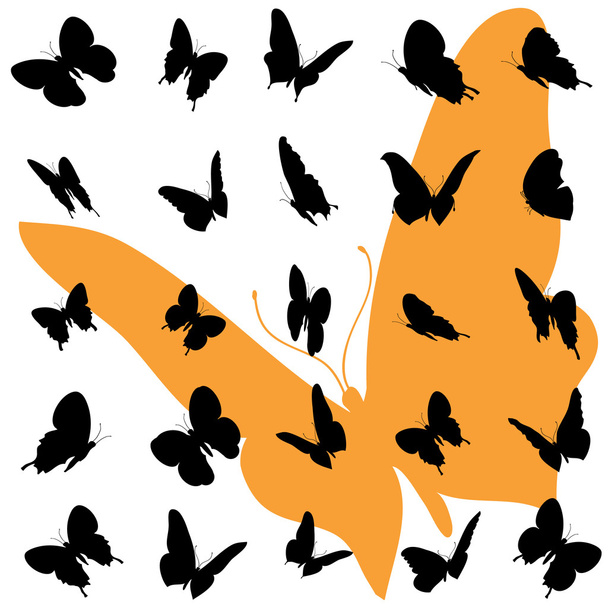Illustration de papillons
 - Vecteur, image
