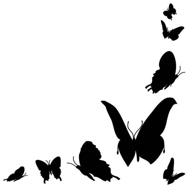 illustratie van vlinders - Vector, afbeelding