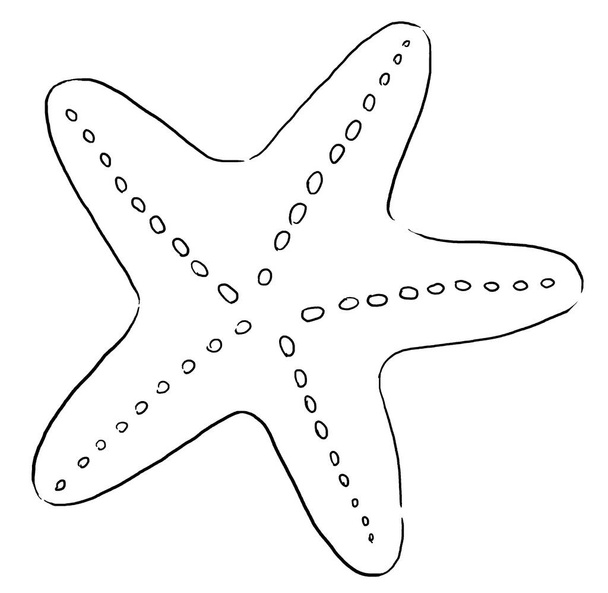 Starfish made of black outlines, isolated illustration clipart.  Single elements for summer sea wedding stationery, beach party invitations and greeting cards, crafting - Φωτογραφία, εικόνα