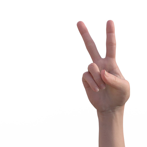 3d illustration of hand gesturing, communication concept - Photo, Image