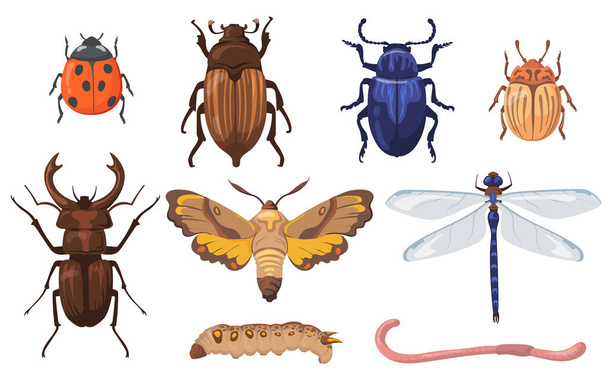 Красочные различные насекомые, черви и жуки плоский набор для веб-дизайна. Мультяшные полевые жуки, личинки, земляного червя и стрекозы изолированная коллекция векторных иллюстраций. Концепция вредителей и сельского хозяйства - Вектор,изображение