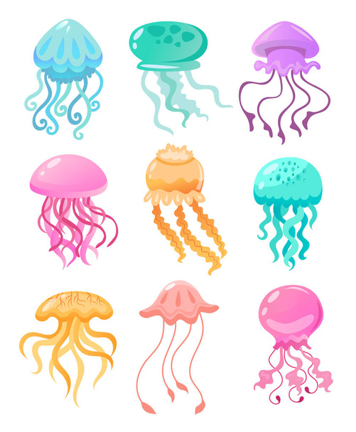 Medusas coloridas de diferentes formas vector conjunto de ilustración. Linda colección de dibujos animados mar-gelatinas acuarela aislado sobre fondo blanco. Concepto de animales marinos - Vector, imagen