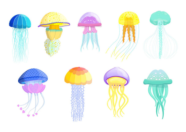 Conjunto plano de medusas diferentes criativas para web design. Desenhos animados bonito natação criaturas marinhas isolado vetor ilustração coleção. Conceito de fauna selvagem e oceânica - Vetor, Imagem