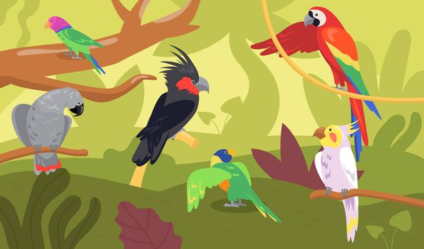 森やジャングルの中でさまざまな種類のオウム。野生の熱帯鳥、エキゾチックな多色のアラ、マコーフラットな漫画のベクトルイラスト。野生動物、ジャングル動物の概念 - ベクター画像
