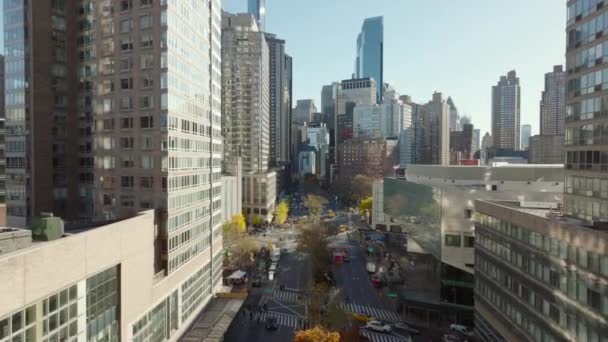 Előre repülnek a város széles utcája felett. Magas épületek vannak körülötte. Egy csapat madár körözött az út felett. Manhattan, New York City, Amerikai Egyesült Államok. - Felvétel, videó
