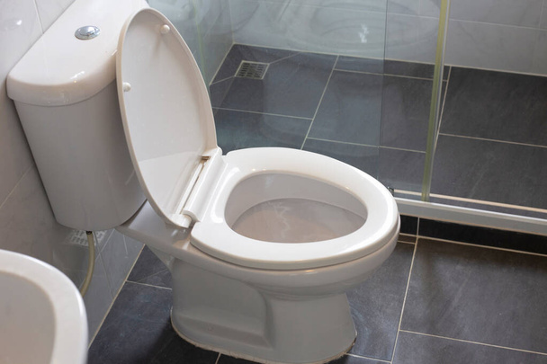 Weiße Toilettenschüssel auf dem Boden - Foto, Bild
