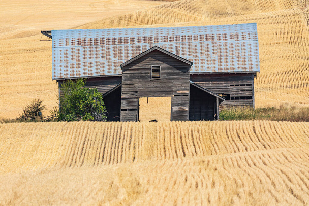 USA, Idaho, Viola. Potter Road. Palouse. Old Barn  in the Palouse hills. - Foto, Imagem
