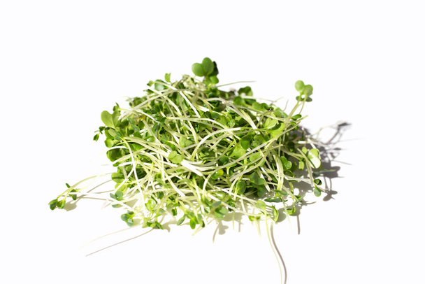 Organic kale sprouts. Healthiest vegetables concept - Photo, Image