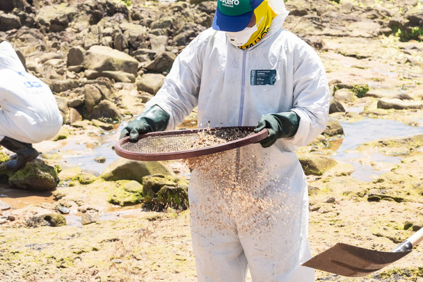 Salvador, Bahia, Brazil - October 26, 2019: Cleaning agents extract oil from Pedra do Sal beach in the city of Salvador. The site was affected by an oil spill off the coast of Bahia. - Foto, afbeelding