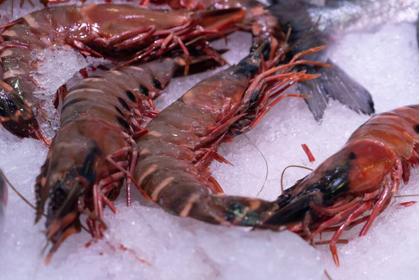Close up view of fresh caught lobsters lying on ice at a market - Photo, image