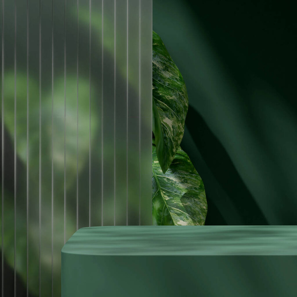 Green color scene of product podium 3d render mockup in square with glass wall and alocasia plant - Photo, image