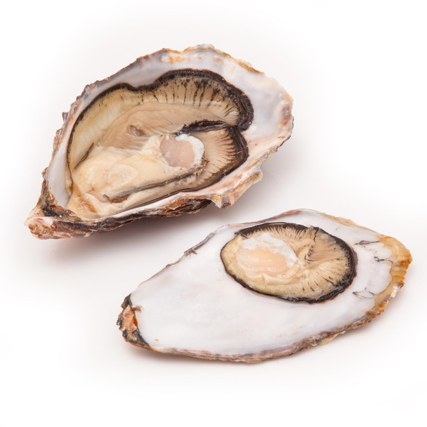 Two Raw oysters - Photo, Image