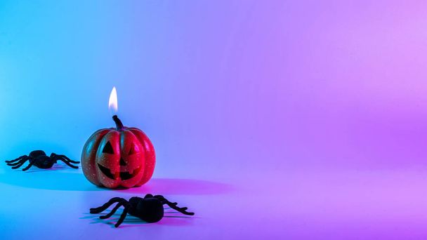 Halloween pumpkin. Black night spider, scary spooky pumpkin on night neon helloween background. Minimalistic background for autumn holidays. Space for text - Photo, image
