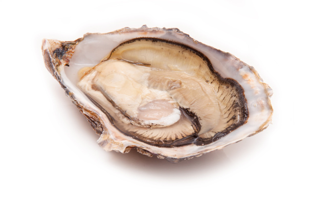 Large raw oyster - Photo, Image
