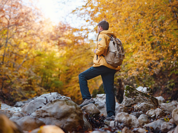 Travel and road trip concept at autumn. Adventure and active lifestyle in nature. Tourist hiking in forest. Caucasian man in yellow jacket walks in woods. - 写真・画像