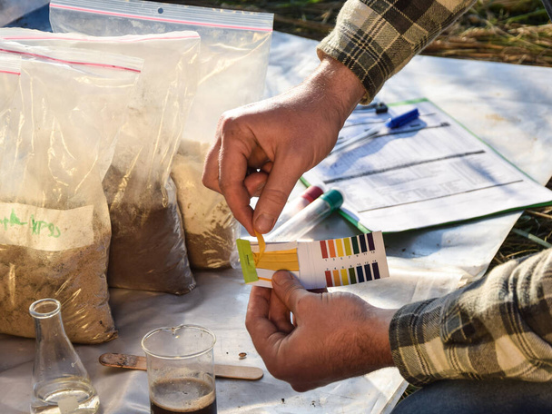 Male agronomy specialist testing soil sample with litmus paper outdoors, using laboratory equipment, performing soil certification at agricultural grain field sunrise. Environment research - Foto, Imagen