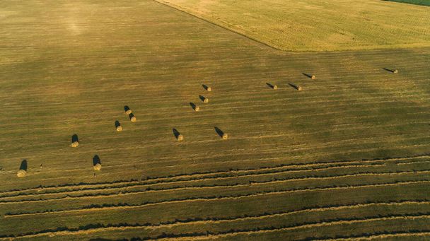 夏の農業現場では、日没時に空中ビューの干し草の山の俵。ドローンは干し草を収穫して農業用に干し草を撃ちました。丸い玉の干し草の上を飛ぶ。農作物の伐採・収穫の季節 - 写真・画像