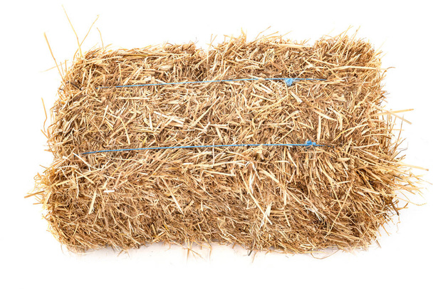 bundle of straw in front of white background - Photo, image
