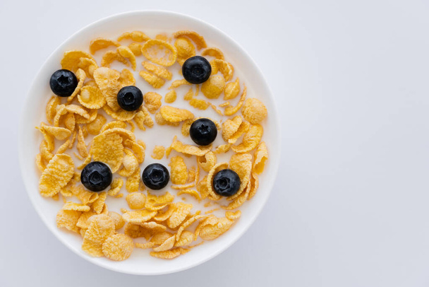 top view of crispy corn flakes in bowl with organic milk and blueberries isolated on white - Zdjęcie, obraz