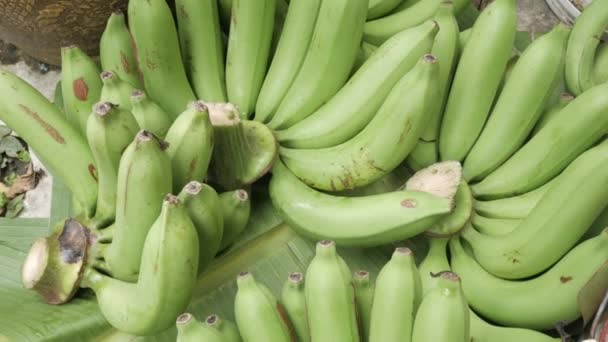 kilátás friss zöld csomó banán egészséges gyümölcs a banánfa levél - Felvétel, videó