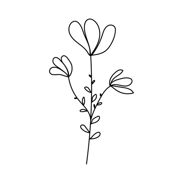 Silhouette image of chamomile. Vector illustration of a flower. Flowers and plants. - Vetor, Imagem