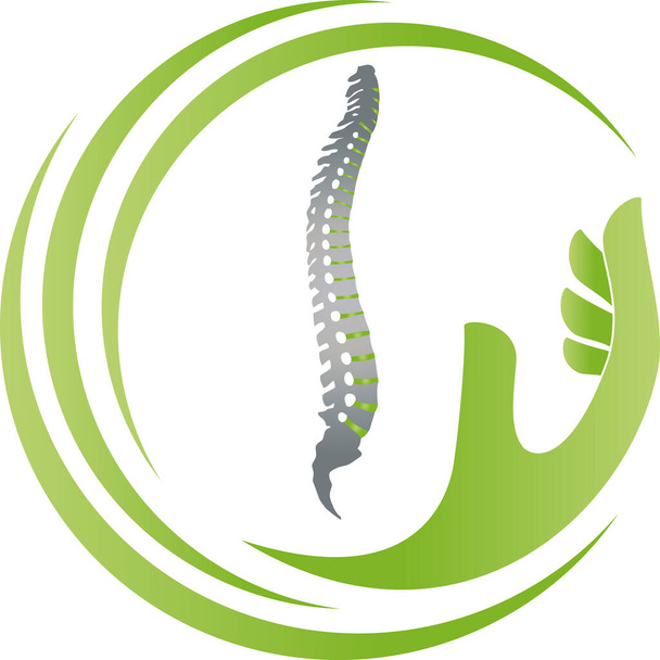 Ortopédico, quiroprático, massagem, logotipo naturopata - Vetor, Imagem