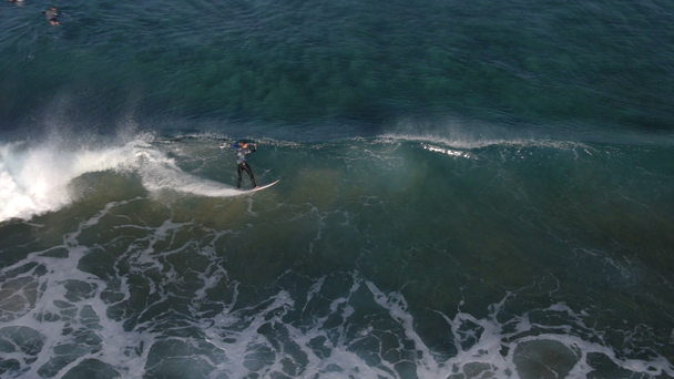 Surfer cavalcando una grande onda
 - Filmati, video