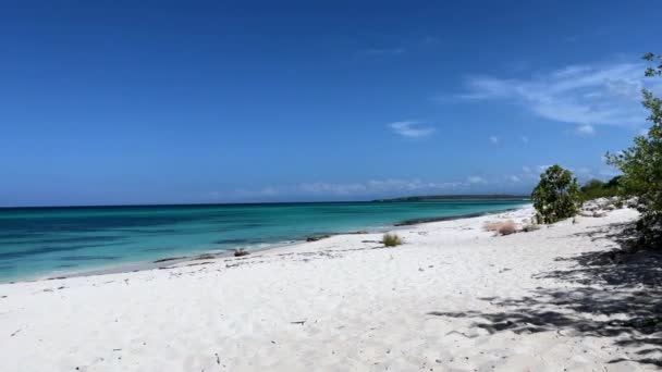 Panoramic views of the scenic white sands and turquoise sea of Playa de la Cueva de las Aguilas, Pedernales, Dominican Republic, near the border with Haiti.  - Záběry, video